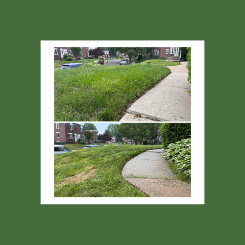 Grass cut & Edging B&A
